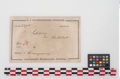 Etiketten zu Bronzefußring (NHMW-PRAE-023915)